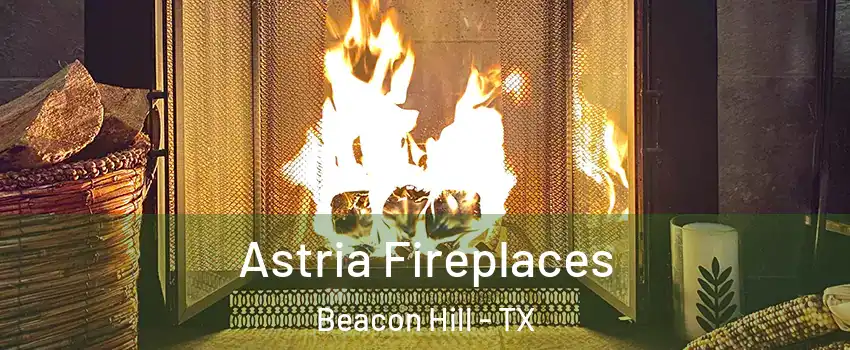 Astria Fireplaces Beacon Hill - TX