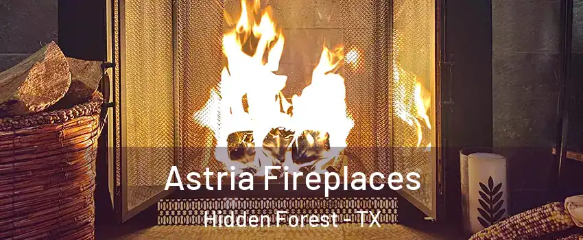 Astria Fireplaces Hidden Forest - TX
