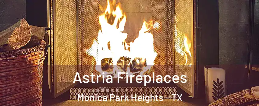 Astria Fireplaces Monica Park Heights - TX