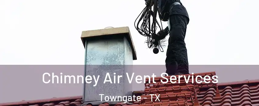 Chimney Air Vent Services Towngate - TX
