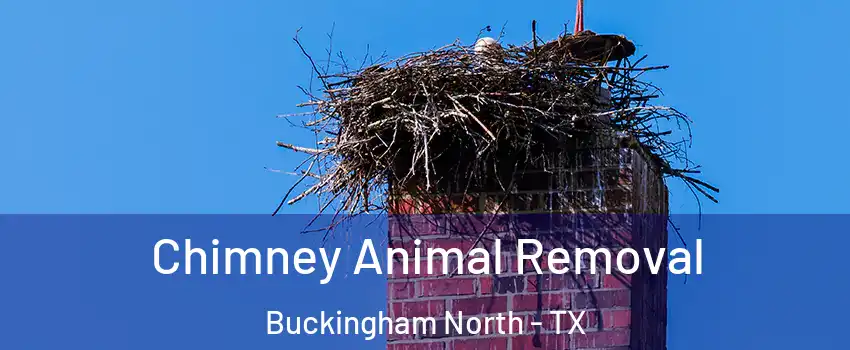 Chimney Animal Removal Buckingham North - TX