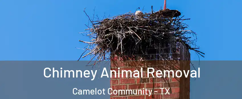 Chimney Animal Removal Camelot Community - TX