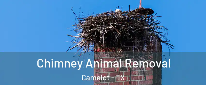 Chimney Animal Removal Camelot - TX