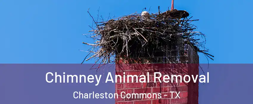 Chimney Animal Removal Charleston Commons - TX