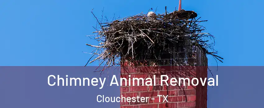 Chimney Animal Removal Clouchester - TX