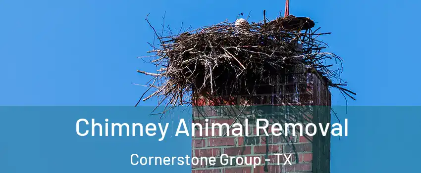 Chimney Animal Removal Cornerstone Group - TX