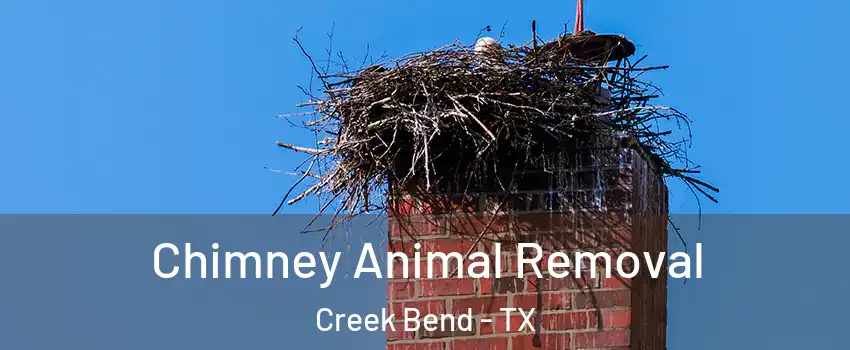 Chimney Animal Removal Creek Bend - TX