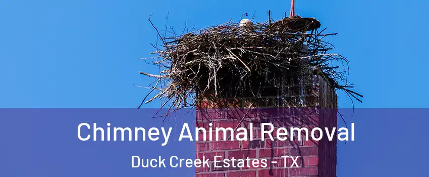Chimney Animal Removal Duck Creek Estates - TX