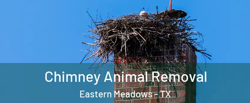 Chimney Animal Removal Eastern Meadows - TX