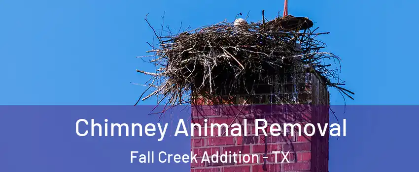 Chimney Animal Removal Fall Creek Addition - TX