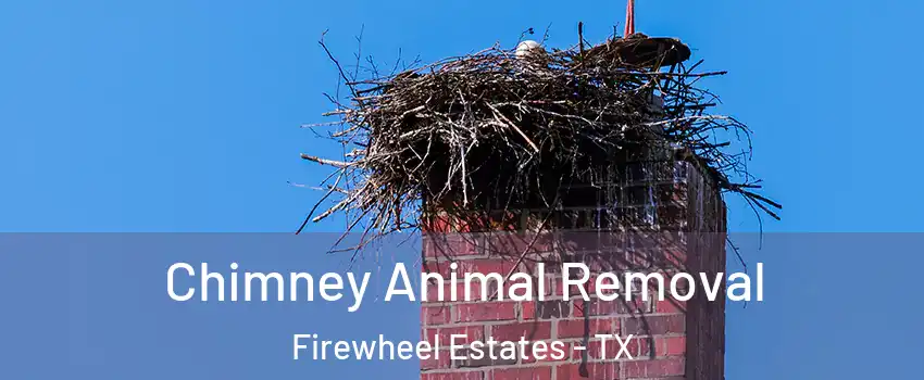 Chimney Animal Removal Firewheel Estates - TX