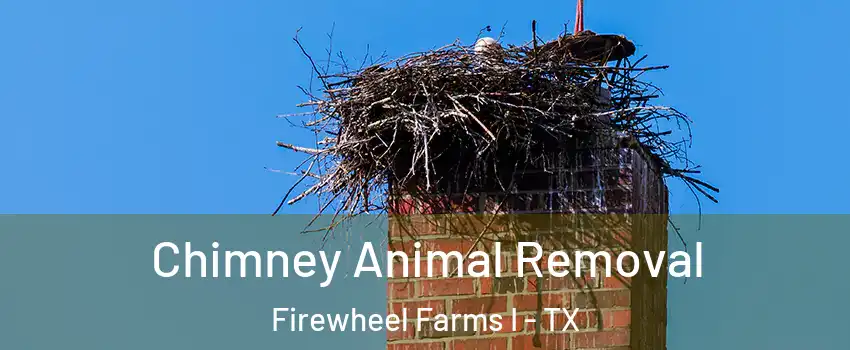 Chimney Animal Removal Firewheel Farms I - TX