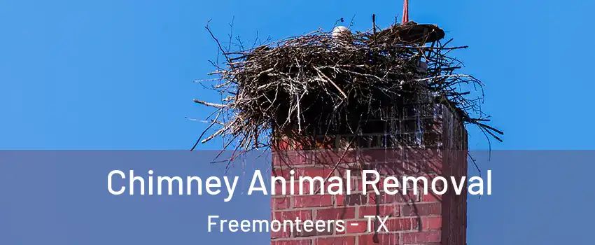Chimney Animal Removal Freemonteers - TX