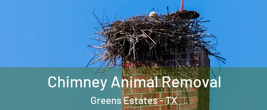 Chimney Animal Removal Greens Estates - TX