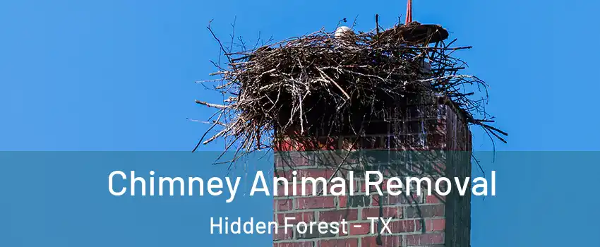 Chimney Animal Removal Hidden Forest - TX