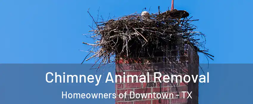 Chimney Animal Removal Homeowners of Downtown - TX