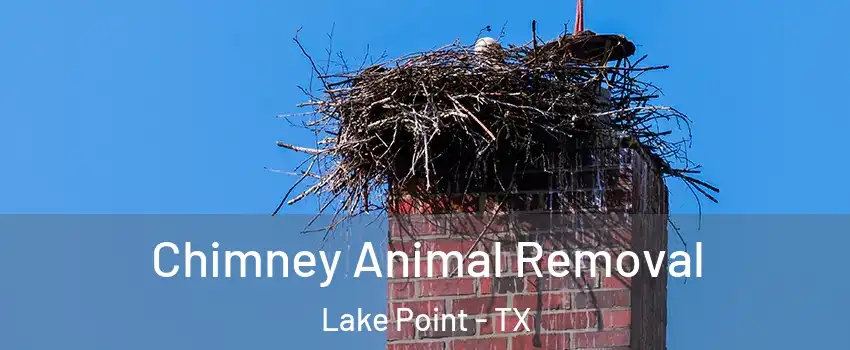 Chimney Animal Removal Lake Point - TX