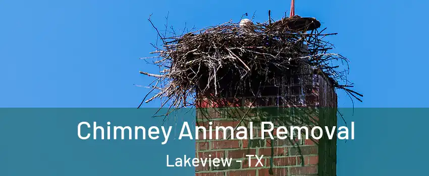 Chimney Animal Removal Lakeview - TX