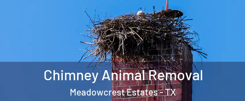 Chimney Animal Removal Meadowcrest Estates - TX