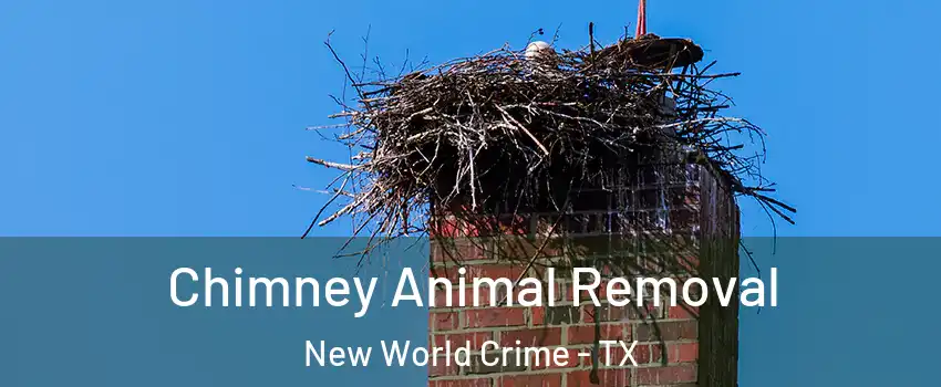 Chimney Animal Removal New World Crime - TX
