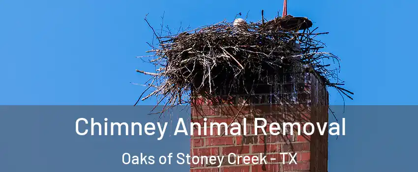 Chimney Animal Removal Oaks of Stoney Creek - TX