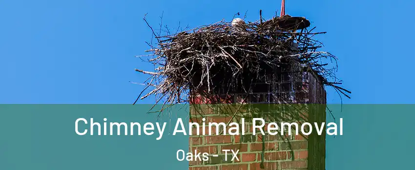 Chimney Animal Removal Oaks - TX