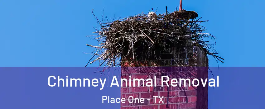 Chimney Animal Removal Place One - TX