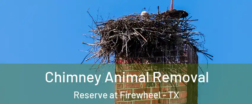 Chimney Animal Removal Reserve at Firewheel - TX
