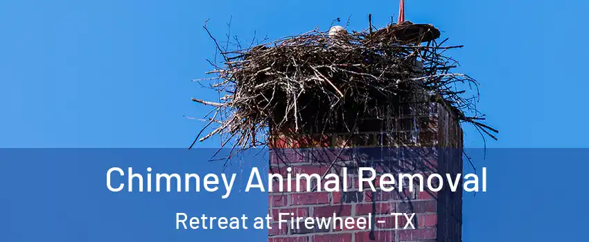 Chimney Animal Removal Retreat at Firewheel - TX