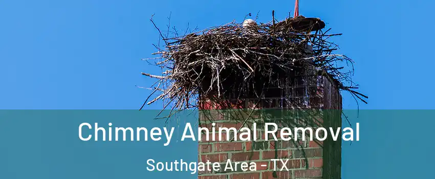 Chimney Animal Removal Southgate Area - TX