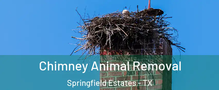 Chimney Animal Removal Springfield Estates - TX