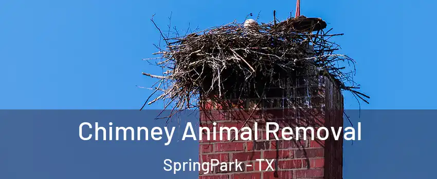 Chimney Animal Removal SpringPark - TX