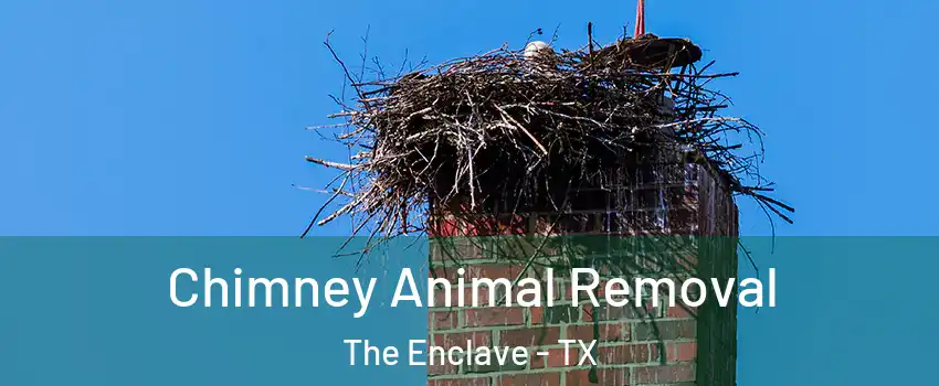 Chimney Animal Removal The Enclave - TX