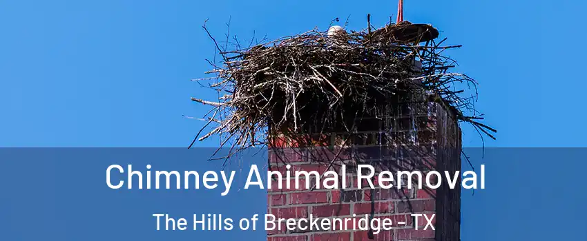 Chimney Animal Removal The Hills of Breckenridge - TX