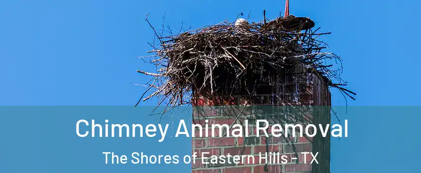 Chimney Animal Removal The Shores of Eastern Hills - TX