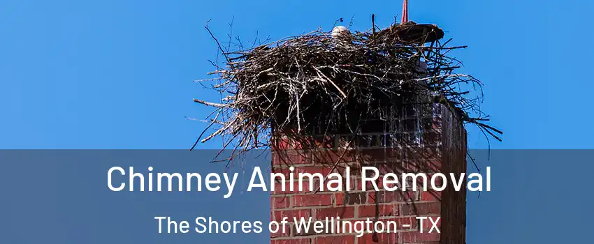 Chimney Animal Removal The Shores of Wellington - TX