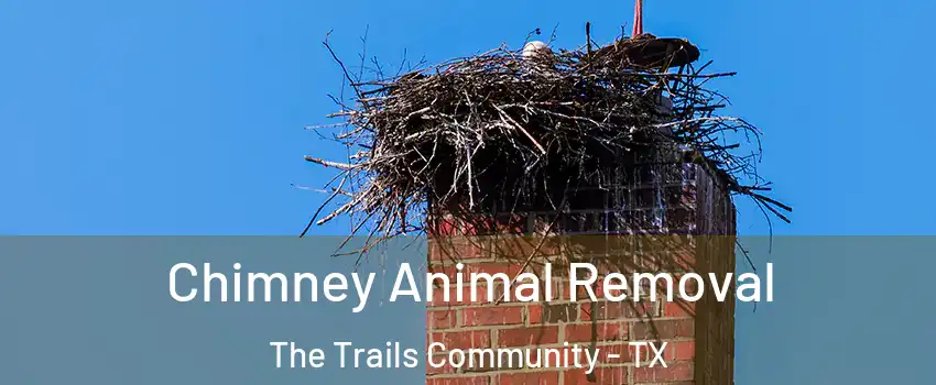 Chimney Animal Removal The Trails Community - TX