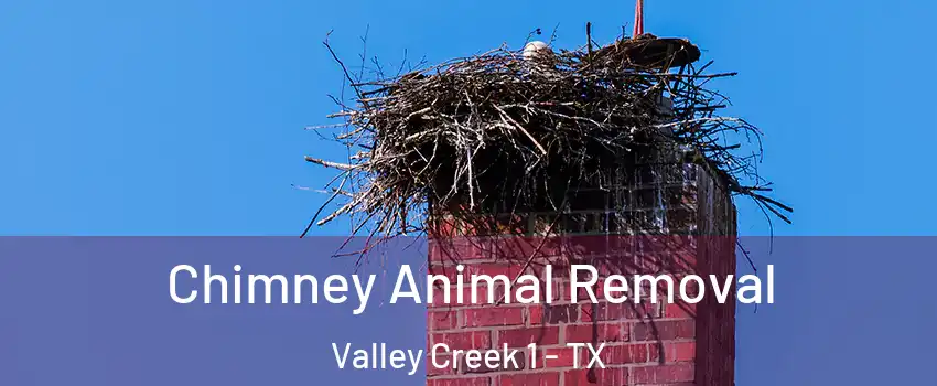 Chimney Animal Removal Valley Creek 1 - TX