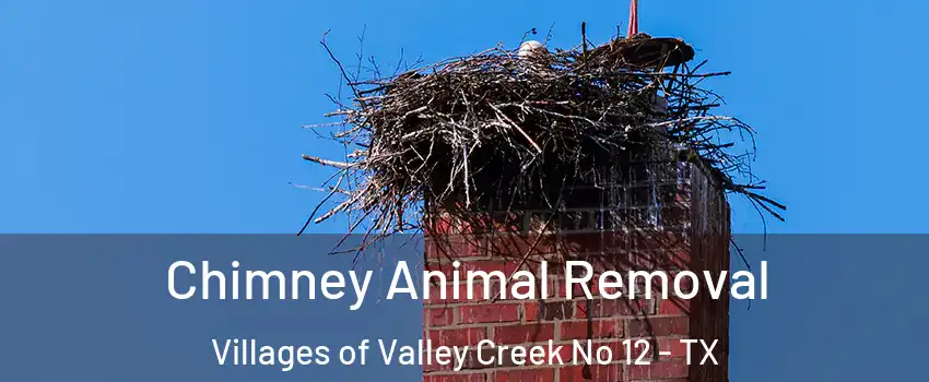 Chimney Animal Removal Villages of Valley Creek No 12 - TX