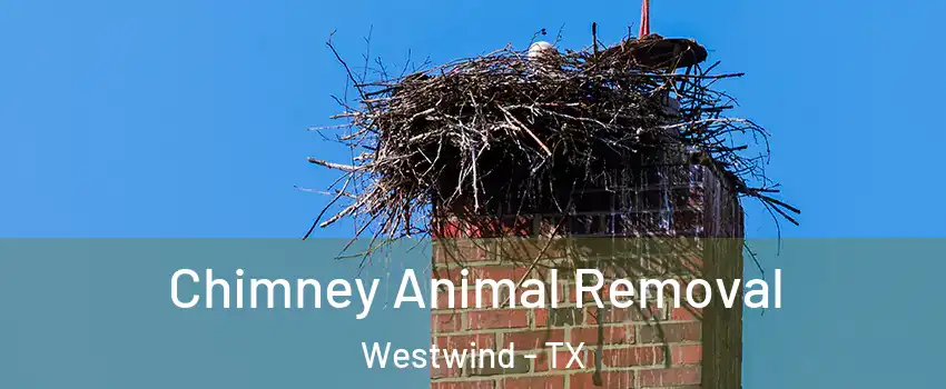 Chimney Animal Removal Westwind - TX