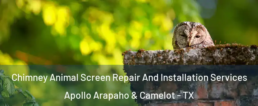 Chimney Animal Screen Repair And Installation Services Apollo Arapaho & Camelot - TX