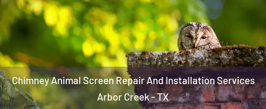 Chimney Animal Screen Repair And Installation Services Arbor Creek - TX