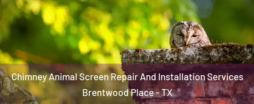 Chimney Animal Screen Repair And Installation Services Brentwood Place - TX