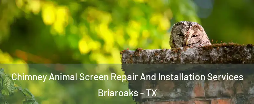 Chimney Animal Screen Repair And Installation Services Briaroaks - TX