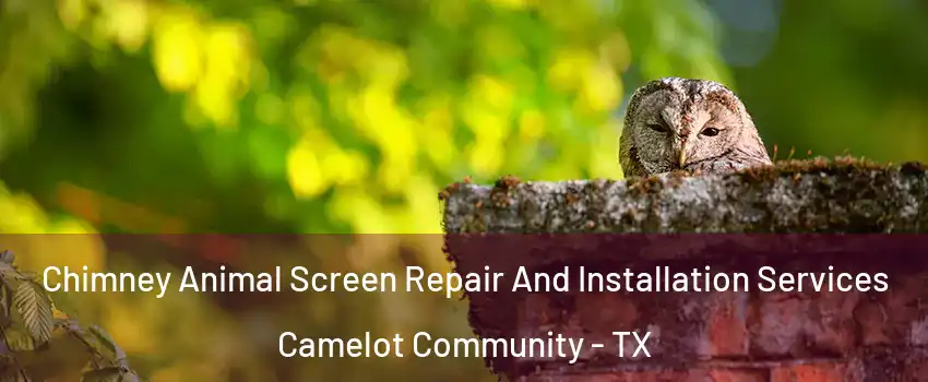 Chimney Animal Screen Repair And Installation Services Camelot Community - TX