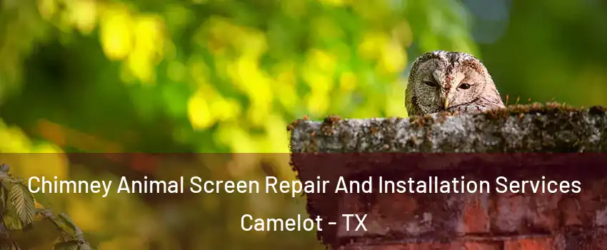 Chimney Animal Screen Repair And Installation Services Camelot - TX