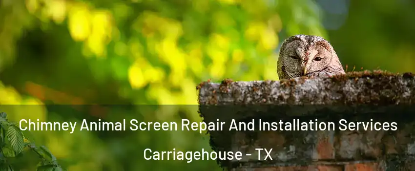Chimney Animal Screen Repair And Installation Services Carriagehouse - TX