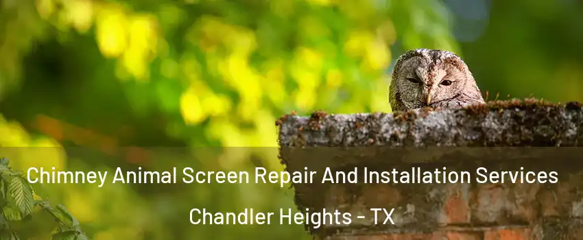 Chimney Animal Screen Repair And Installation Services Chandler Heights - TX