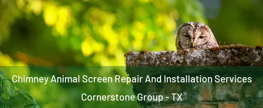 Chimney Animal Screen Repair And Installation Services Cornerstone Group - TX