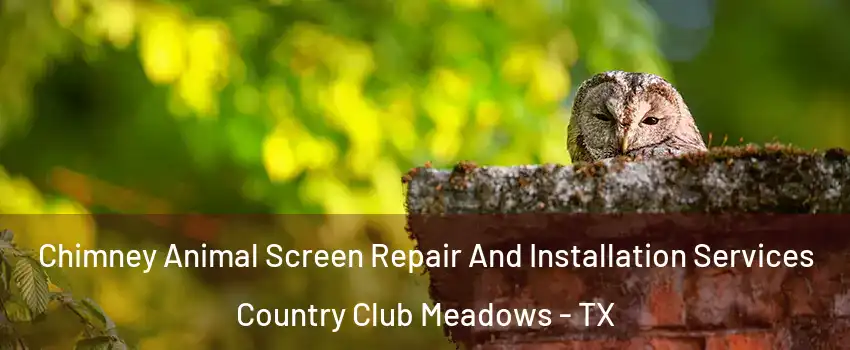 Chimney Animal Screen Repair And Installation Services Country Club Meadows - TX